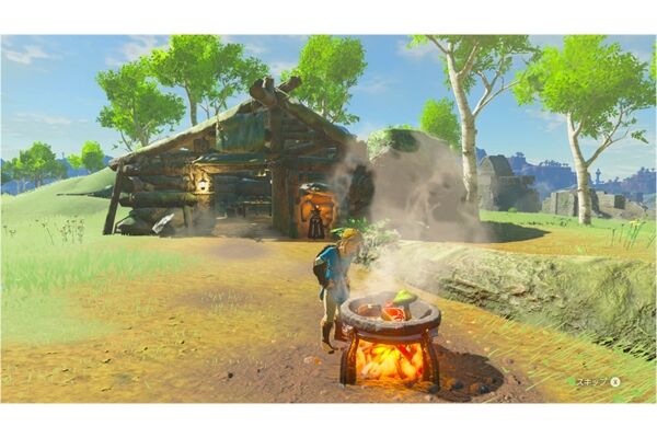 Nintendo The Legend of Zelda: BOTW