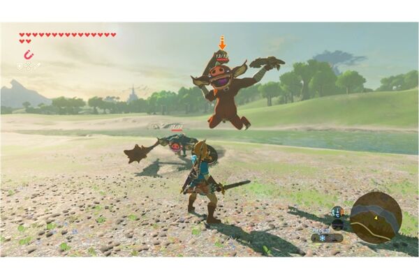 Nintendo The Legend of Zelda: BOTW