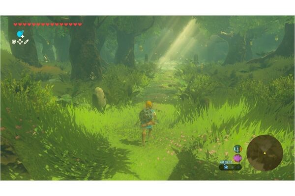 Nintendo The Legend of Zelda: BOTW