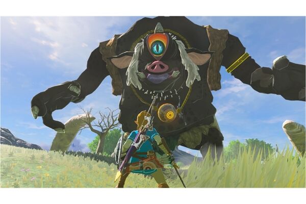 Nintendo The Legend of Zelda: BOTW