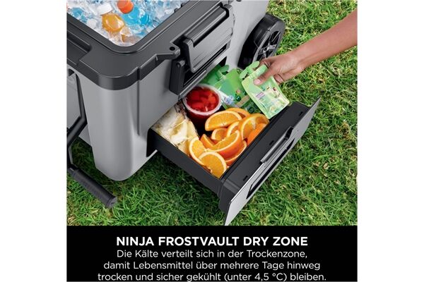 NINJA FrostVault FB245