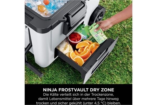 NINJA FrostVault FB245