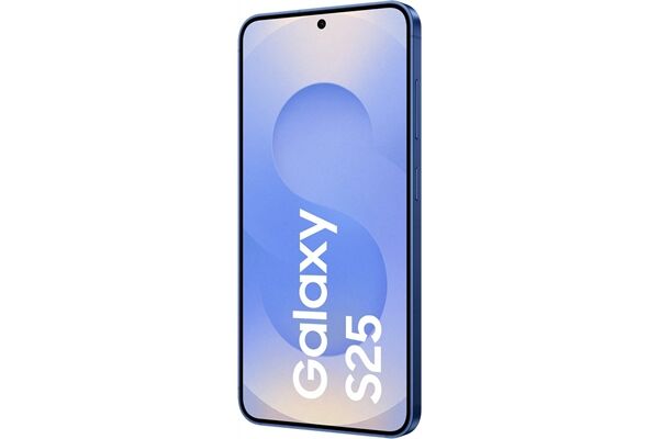 Samsung Galaxy S25 (128GB) DE