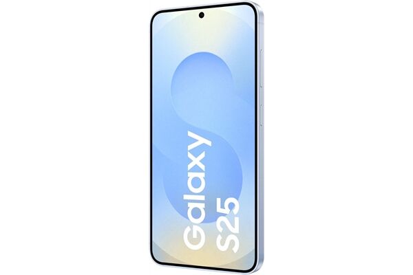 Samsung Galaxy S25 (128GB) DE