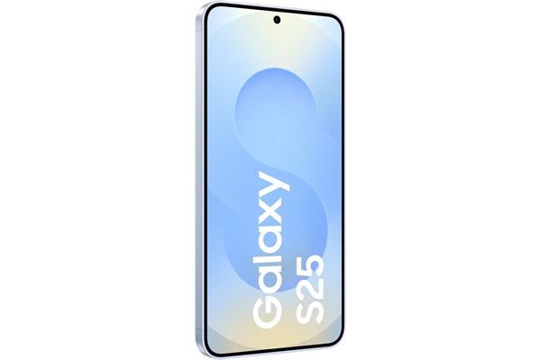 Samsung Galaxy S25 (128GB) DE