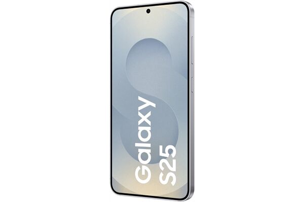 Samsung Galaxy S25 (128GB) DE