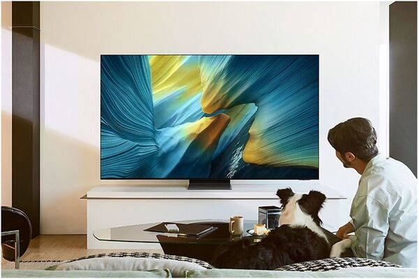Samsung GQ65S95FAT
