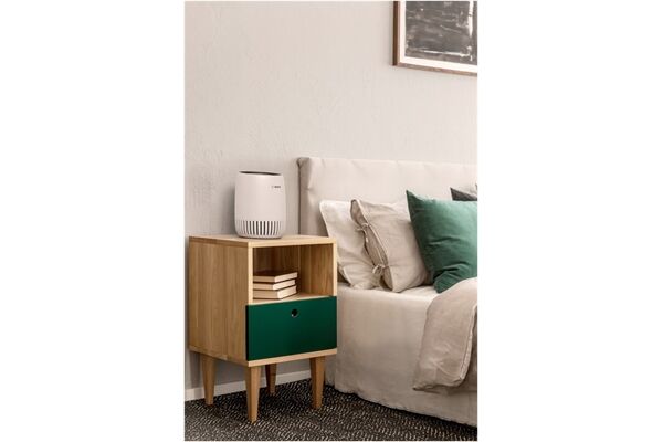 Bosch Air 1000