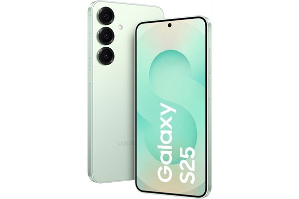 Samsung Galaxy S25 (128GB) DE