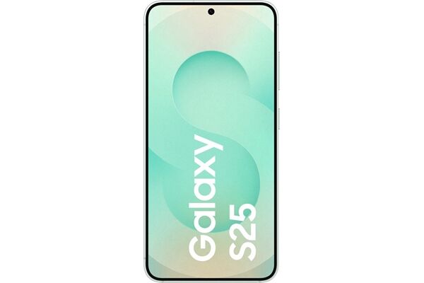 Samsung Galaxy S25 (128GB) DE