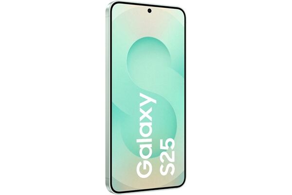 Samsung Galaxy S25 (128GB) DE