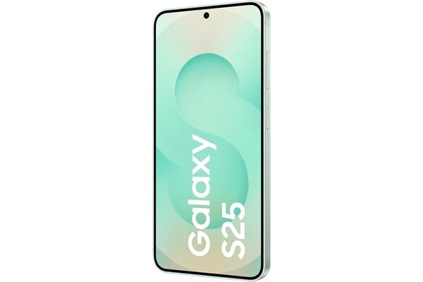 Samsung Galaxy S25 (128GB) DE