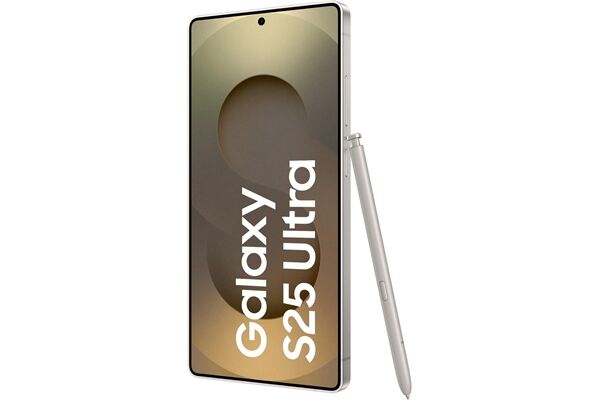 Samsung Galaxy S25 Ultra (256GB) DE