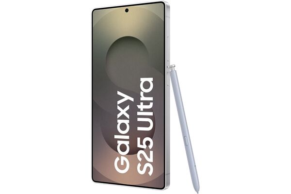 Samsung Galaxy S25 Ultra (256GB) DE