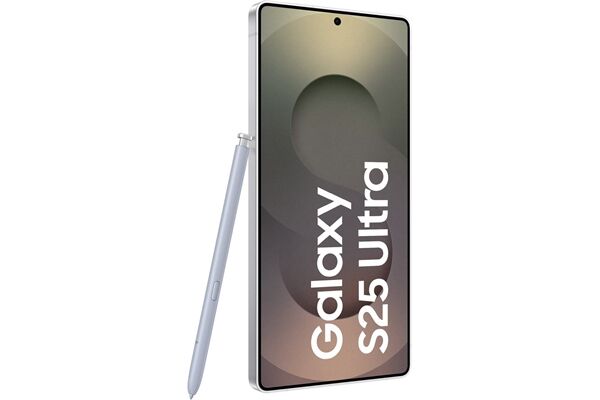 Samsung Galaxy S25 Ultra (256GB) DE