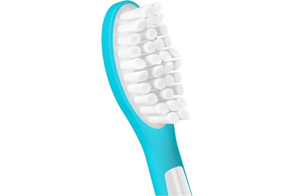 Philips HX6042/90 Kids (2er Pack)