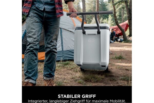 NINJA FrostVault FB265