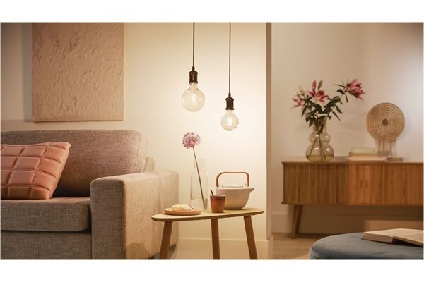 Philips PHI WFB 60W G95 E27 927-65 CL