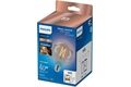 Philips PHI WFB 60W G95 E27 927-65 CL