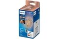 Philips PHI WFB 60W ST64 E27 927-65 CL