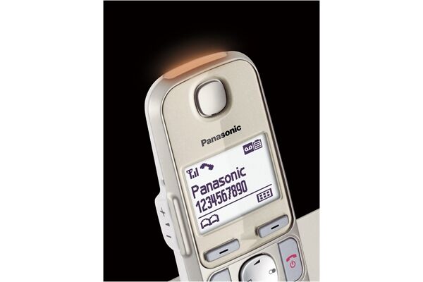 Panasonic KX-TGE262GN