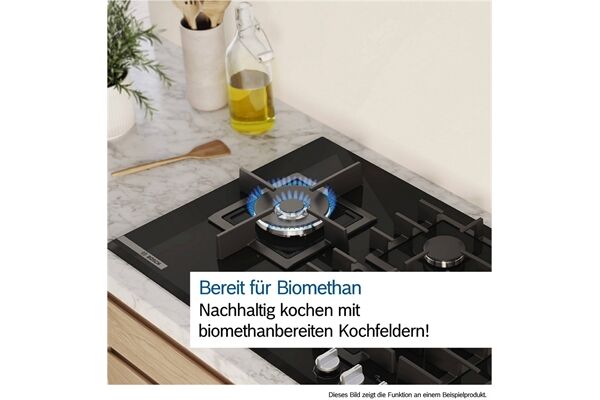 Bosch PBP6B5K80