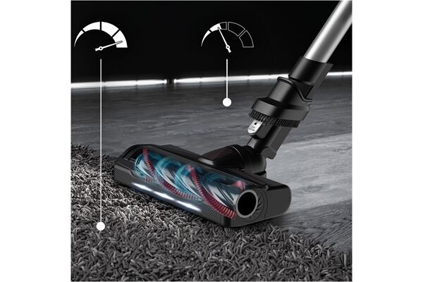 Rowenta RH2077 XForce Flex 9.60 Animal