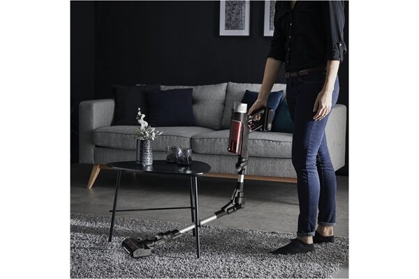 Rowenta RH2077 XForce Flex 9.60 Animal