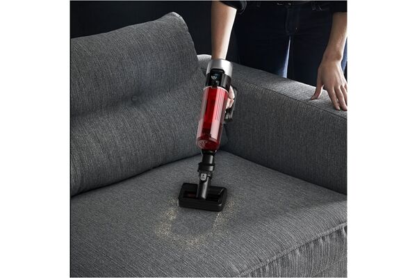 Rowenta RH2077 XForce Flex 9.60 Animal