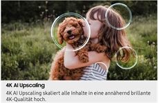 Samsung GQ50QN80FAU (carbonsilber)