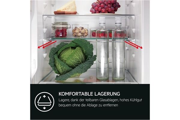 AEG Santo TSK5O881DF B-Ware