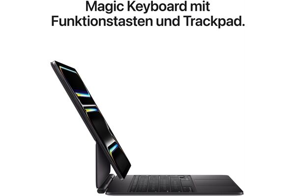 Apple iPad Pro 13" (256GB) WiFi + 5G M5