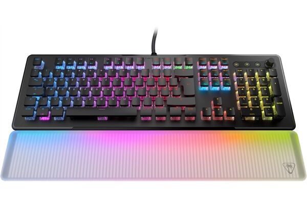 Turtle Beach Vulcan II Max (DE)