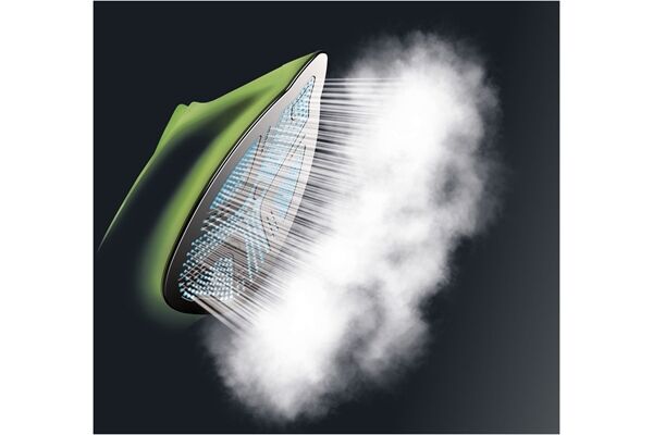 Rowenta DG8626 Perfect Steam Pro