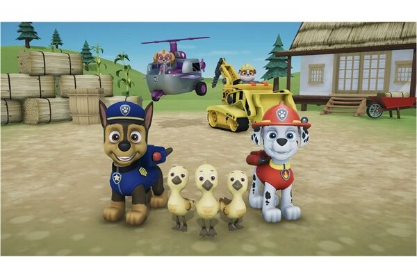 Software Pyramide Paw Patrol Compilation