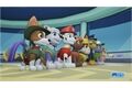 Software Pyramide Paw Patrol Compilation