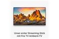 Amazon Fire TV Stick 4K Max (2nd Gen.). B-Ware