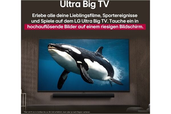 LG 43NANO81A6A B-Ware