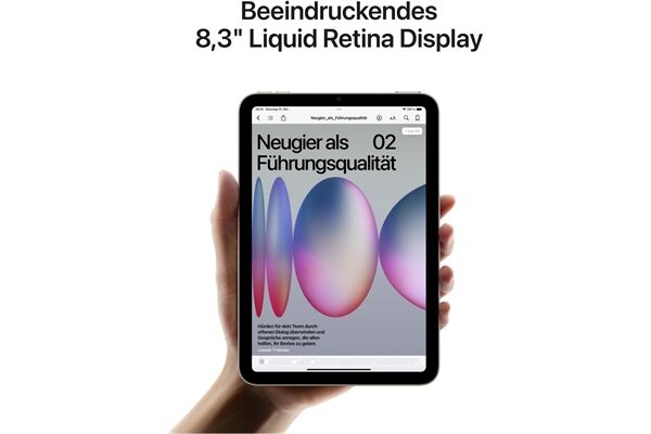 Apple iPad mini (256GB) WiFi
