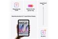 Apple iPad mini (256GB) WiFi
