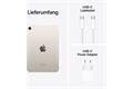 Apple iPad mini (256GB) WiFi