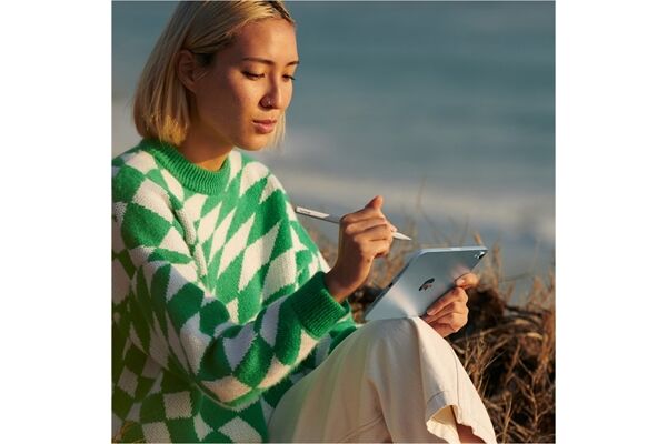 Apple iPad mini (256GB) WiFi