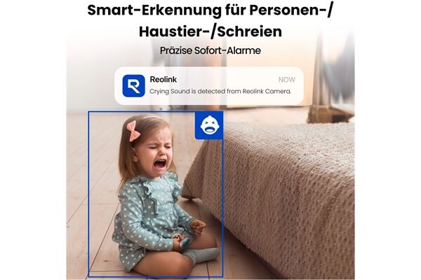 Reolink E Series E321