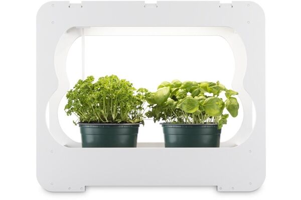 Xavax Gewächsstation mit LED-Pflanzenlam.
