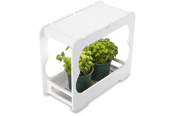 Xavax Gewächsstation mit LED-Pflanzenlam.