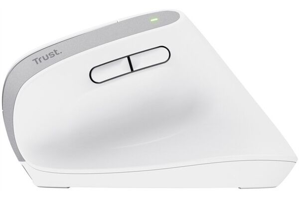 Trust Bayo+ Ergonomic