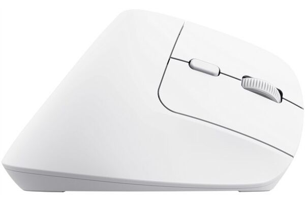 Trust Bayo+ Ergonomic