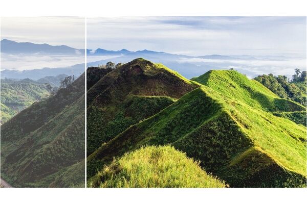 Philips 24E1N1100/00