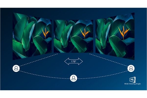 Philips 24E1N1100/00