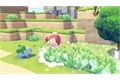 Nintendo SW2 Pokémon Pokopia